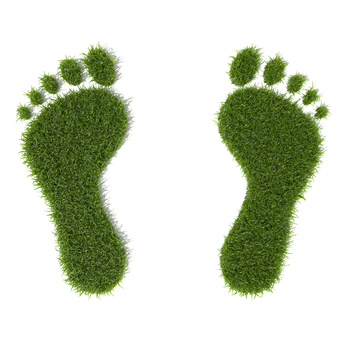 8 Quick Tips for Lowering Your Carbon Footprint | Urban Blog